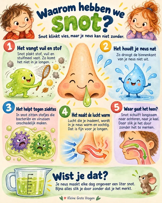 Plaat bij de vraag: Waarom hebben we snot?