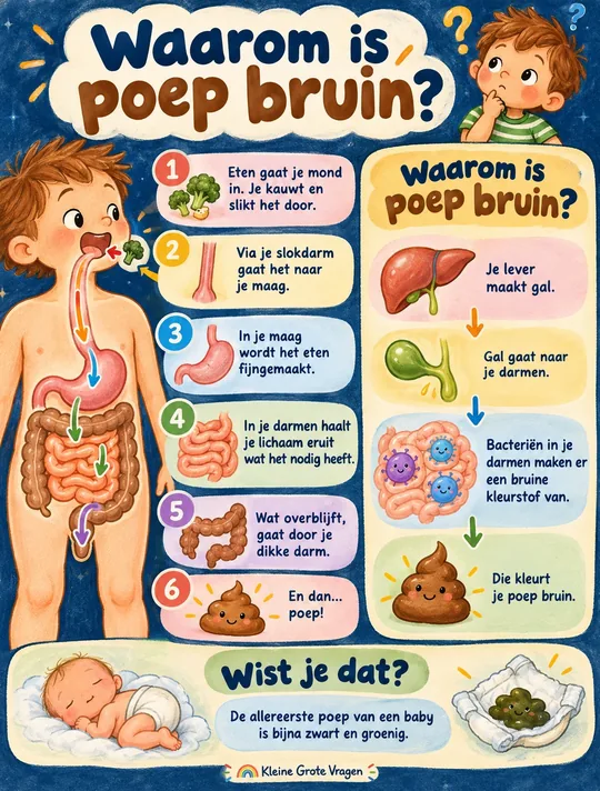 Plaat bij de vraag: Waarom is poep bruin?