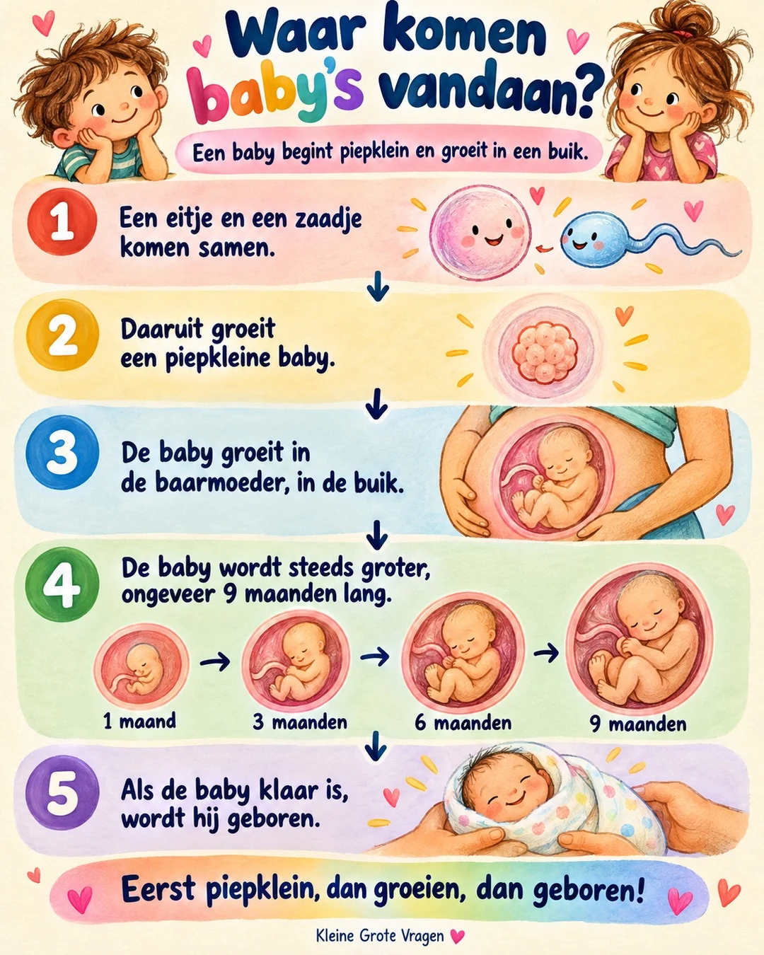 Infographic: Waar komen baby's vandaan?