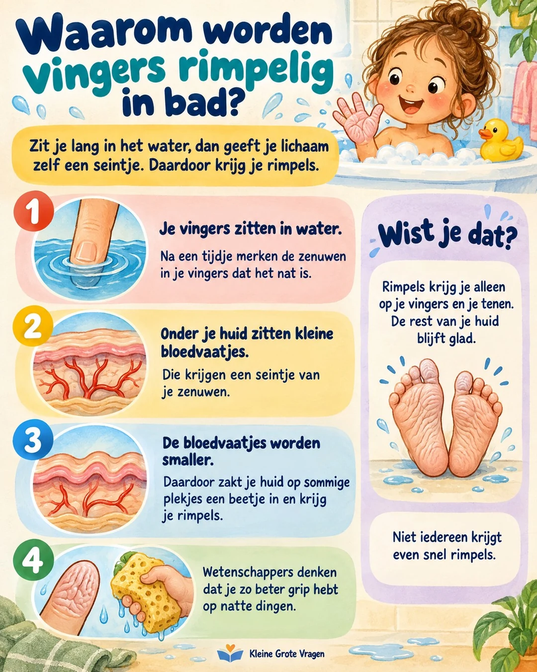 Infographic: Waarom worden vingers rimpelig in bad?