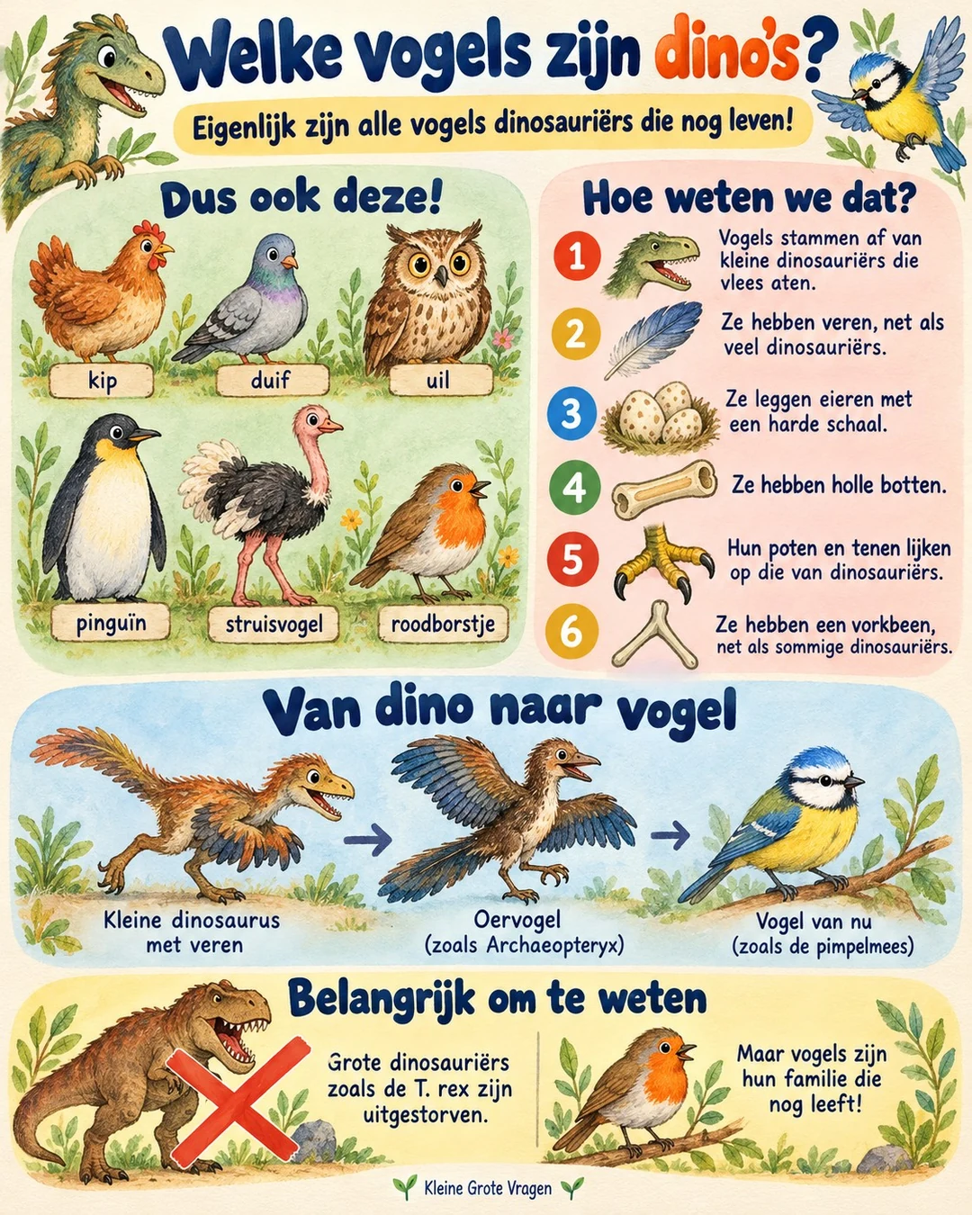 Infographic: Welke vogels zijn dino's?